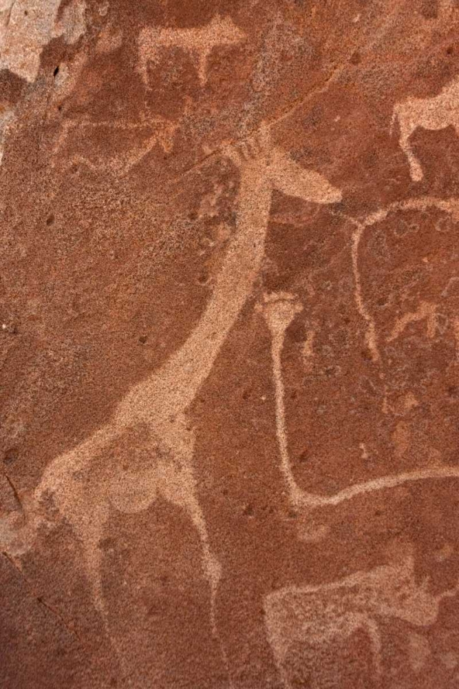 Petroglyphs, Twyfelfontein, Damaraland, Namibia art print by Bill Young for $57.95 CAD